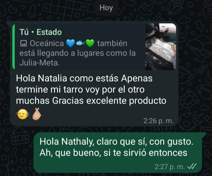 Conversación real con cliente Oceánica