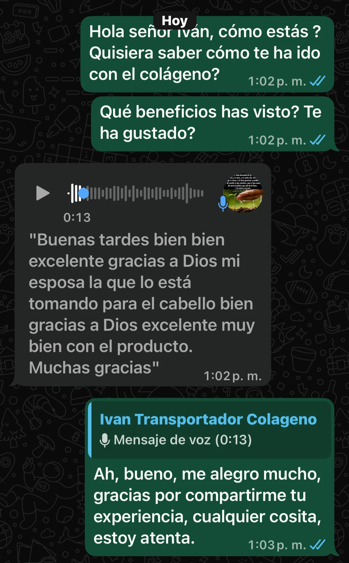 Conversación real con cliente Oceánica